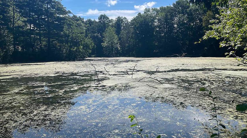 Pond in Ludlow, Massachusetts.