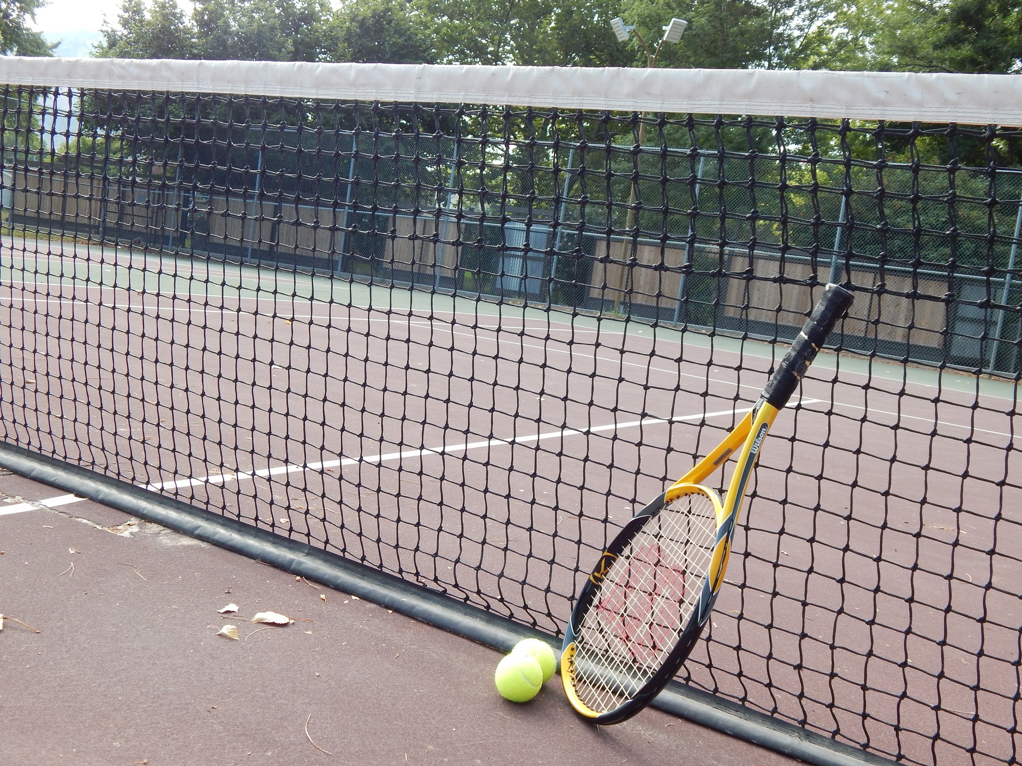 Tennis Courts Graphic
