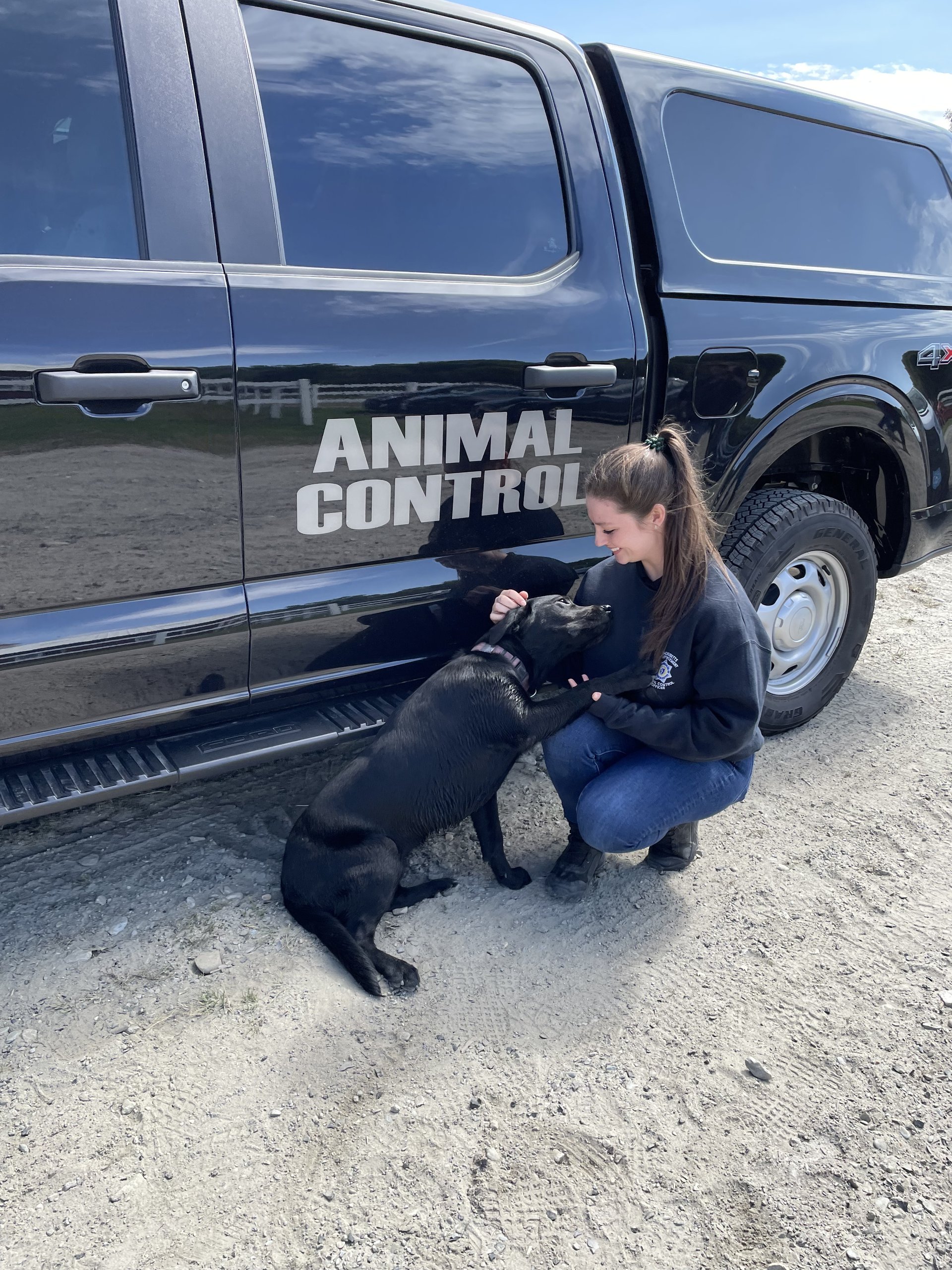 Animal Control 