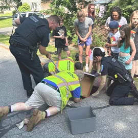 Community Teamwork: Northborough Police and DPW Team Up to Rescue Ducks in Response to Call from Neighborhood Children