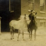 Hoseman Walter P. Nolan, Engine Co. 1, exercising horses on West Fourth Street, South Boston, circa 1914.
