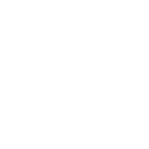 Thomas Crane Public Library