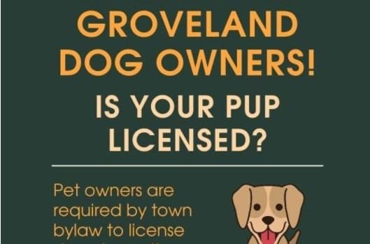 Groveland Police and Town Clerk Remind Dog Owners of Leash Law, Licensing Requirements