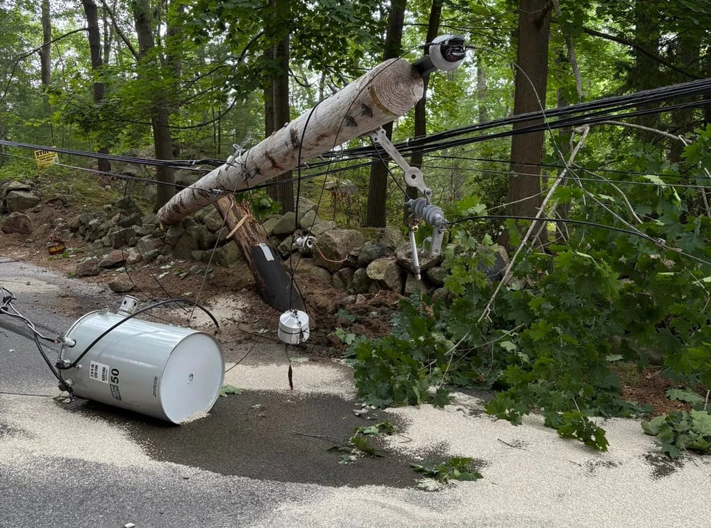 Electric pole lay on its side in wooded area