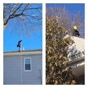 Andrew Joslin tree service on the roof