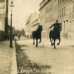 Ladderman John L. Glynn exercising Ladder 12's horses on Cabot St., Roxbury, circa 1908.