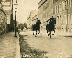 Ladderman John L. Glynn exercising Ladder 12's horses on Cabot St., Roxbury, circa 1908.