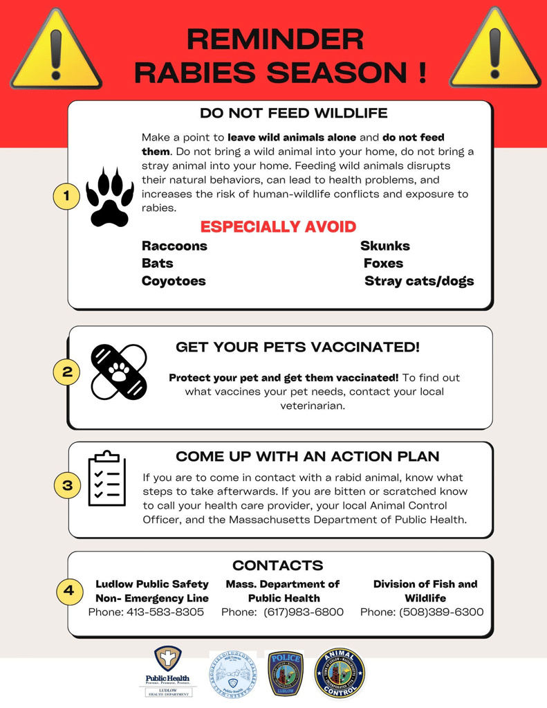 Rabies Reminder Graphic