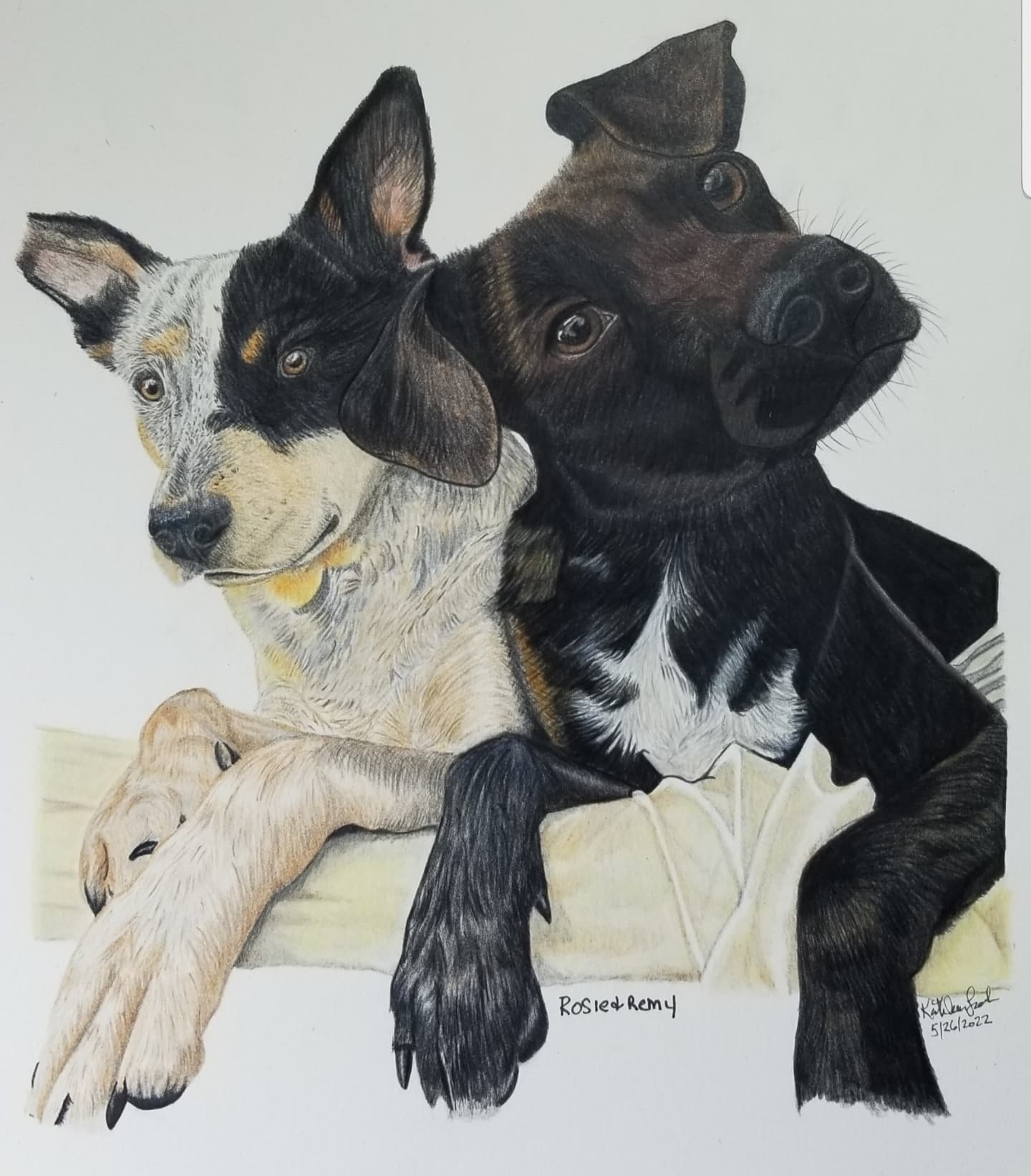 Kathleen Leach, Studies in Colored Pencil