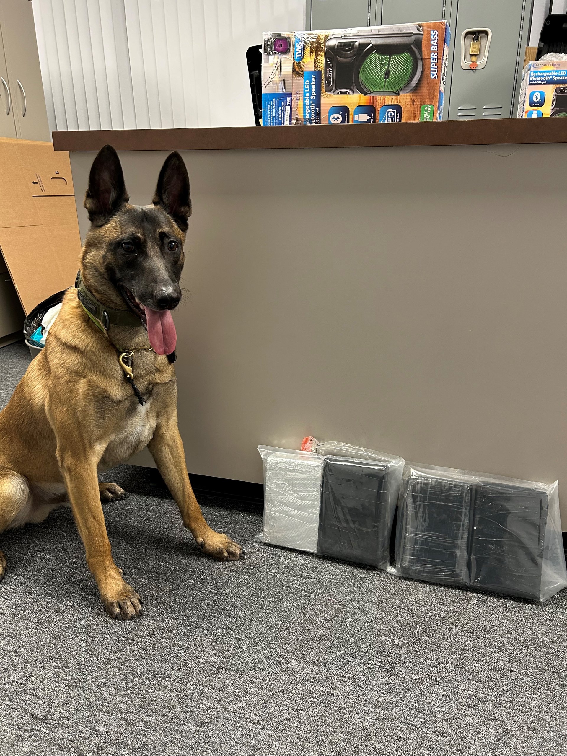 Spd K9 Flexx Assists In Dea Investigation – Springfield Police Department