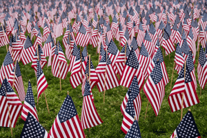 American flags in the grass for Memorial Day.