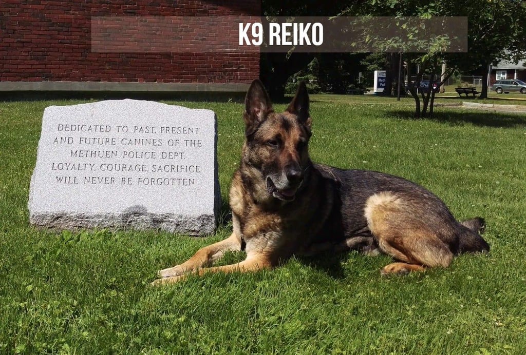 Police K9 Reiko