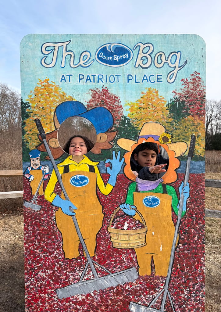 A Day at the Bog – Bi-County Collaborative