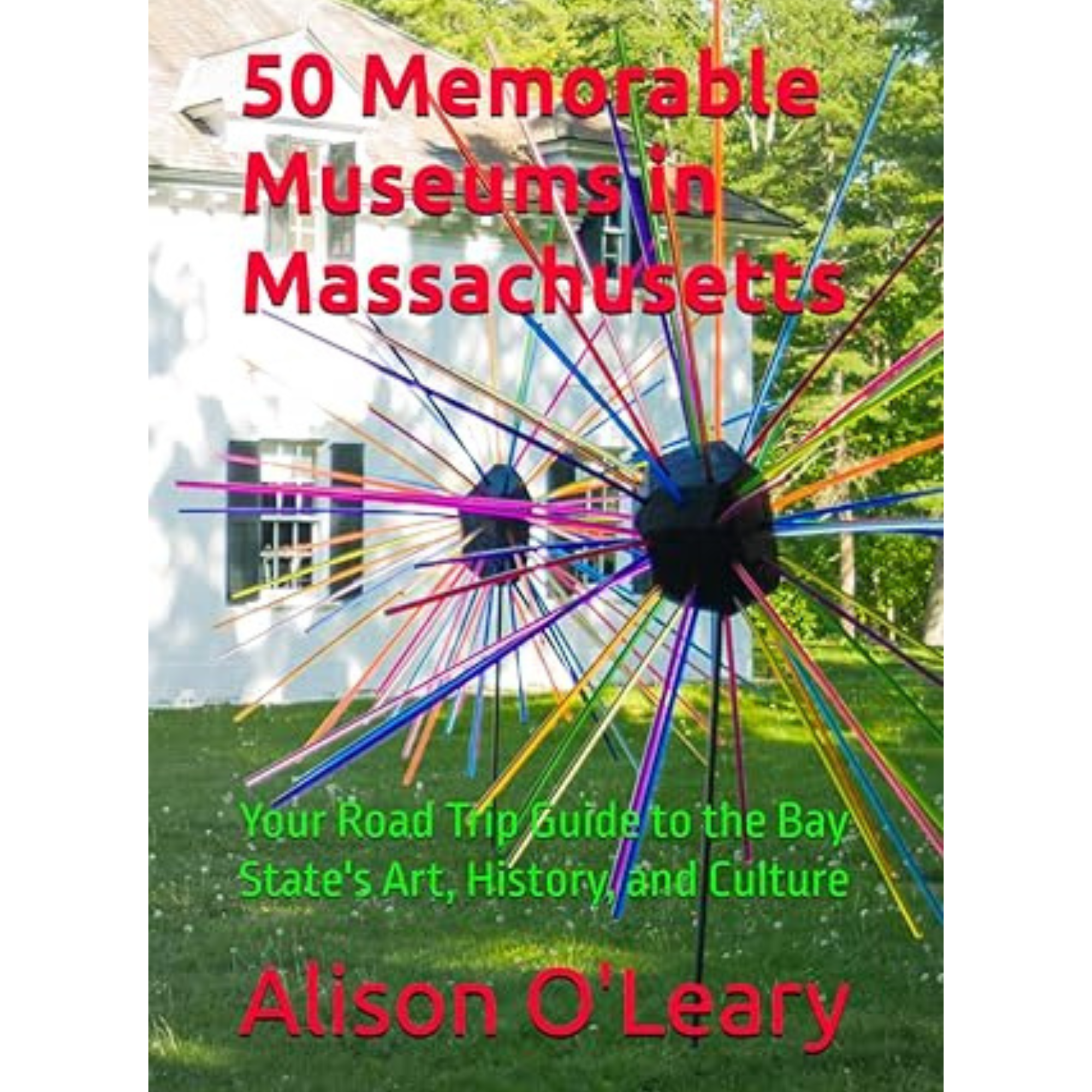 Museum Pass Graphic