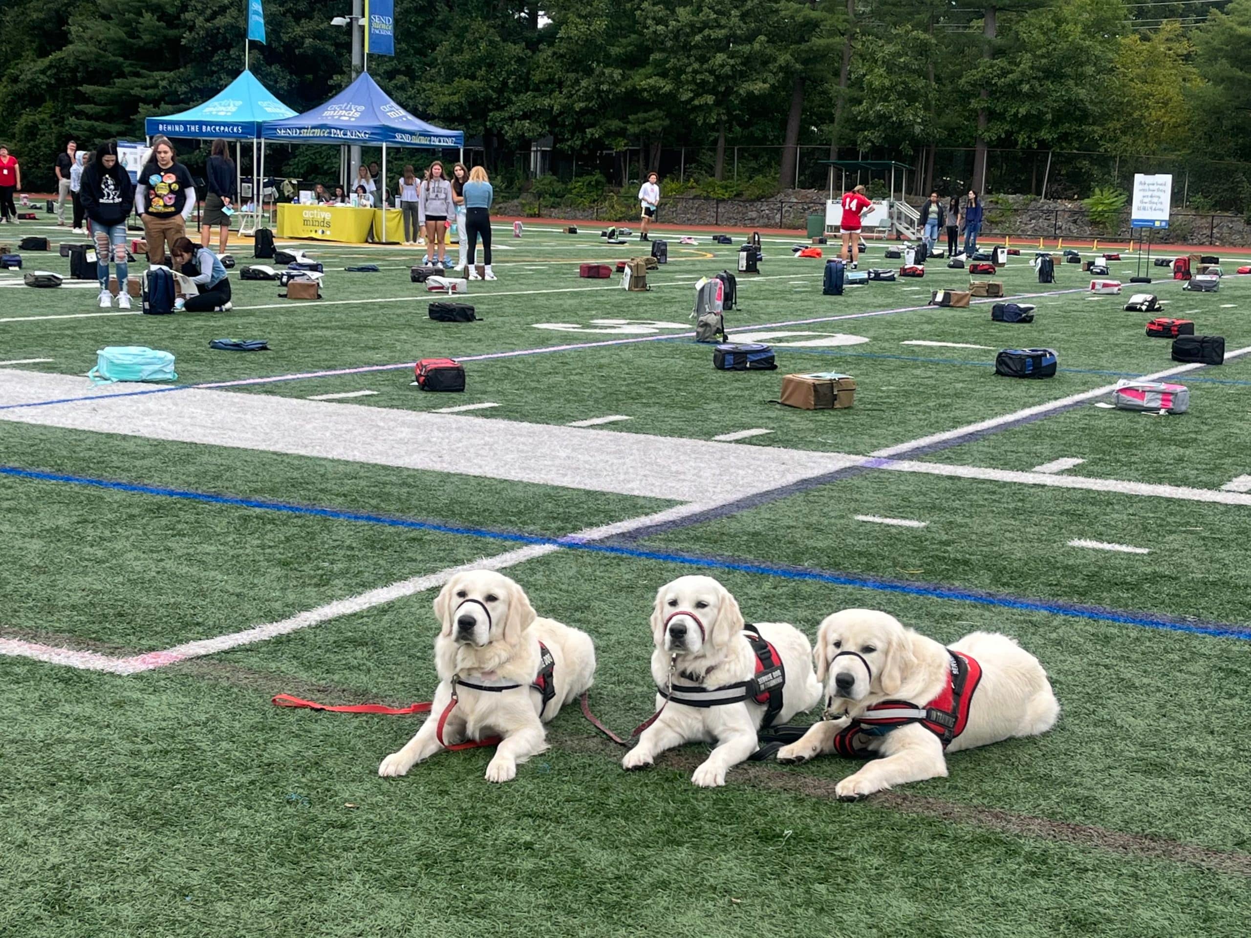 Service dogs from Golden Opportunities for Independence also visited the school to support students during the display. (Photo courtesy King Philip Regional School District)