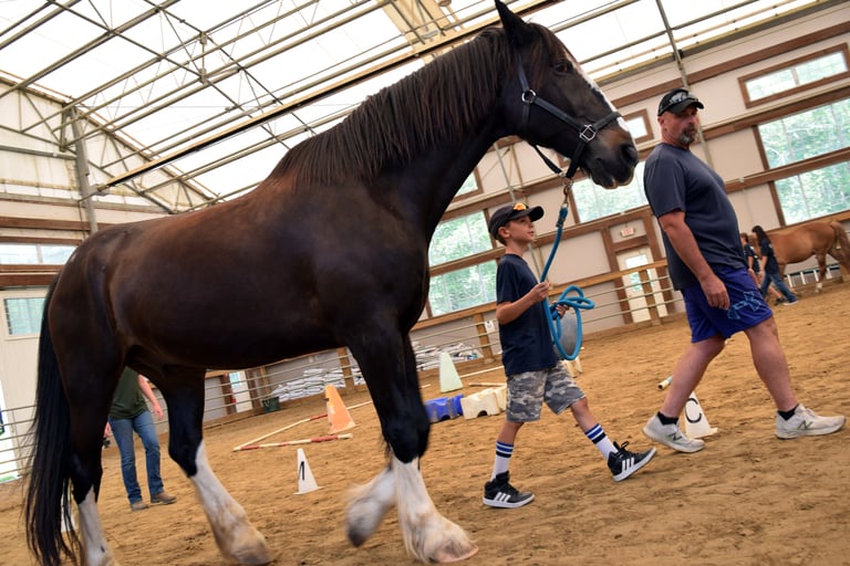 PHOTOS: Lowell Police Youth Services Program Partners with Challenge Unlimited at Ironstone Farm for Youth Riding Program