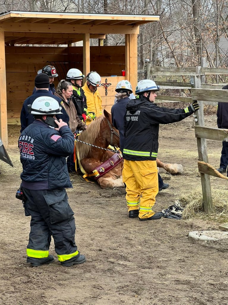 Horse rescued by first responders