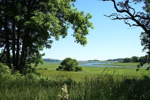View of Cox Reservation, Essex on a summer day