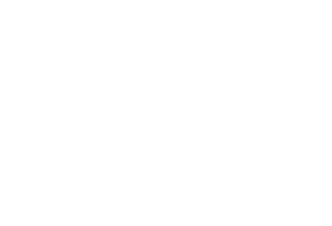 Guilfoil_Logo_White