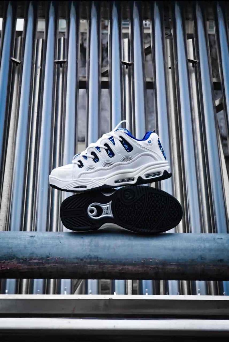 OSIRIS D3 2001 White Blue 2