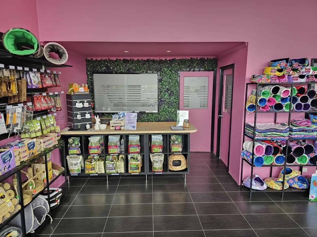 BREE & CO STORE GRAND OPENING – Bree & Co | Rabbit & Guinea Pig ...