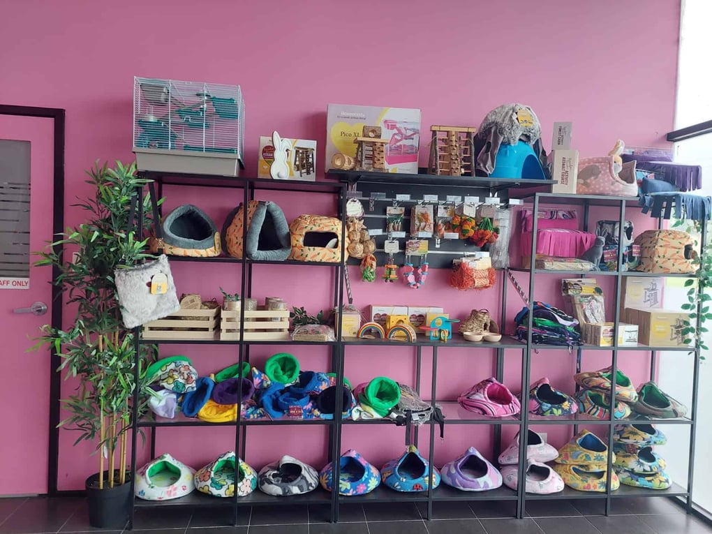 GUINEA PIG & RABBIT RETAIL STORE OPENING SOON!!! – Bree & Co | Rabbit ...