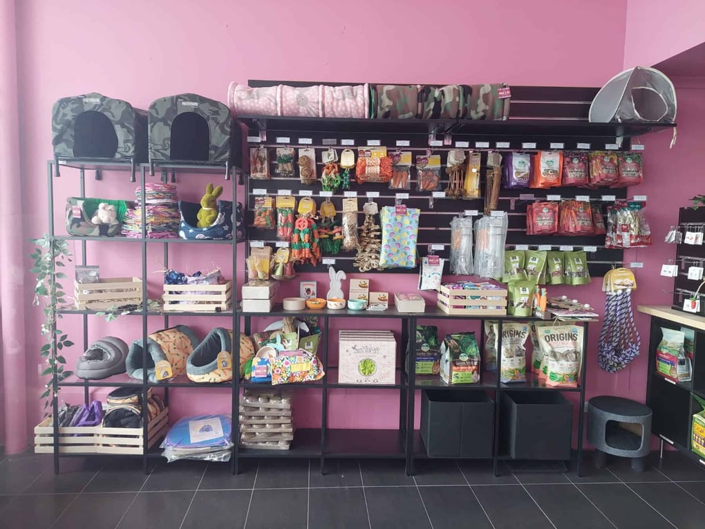 GUINEA PIG & RABBIT RETAIL STORE OPENING SOON!!! – Bree & Co | Rabbit ...