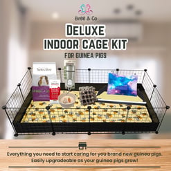 Deluxe Indoor Guinea Pig Cage Kit
