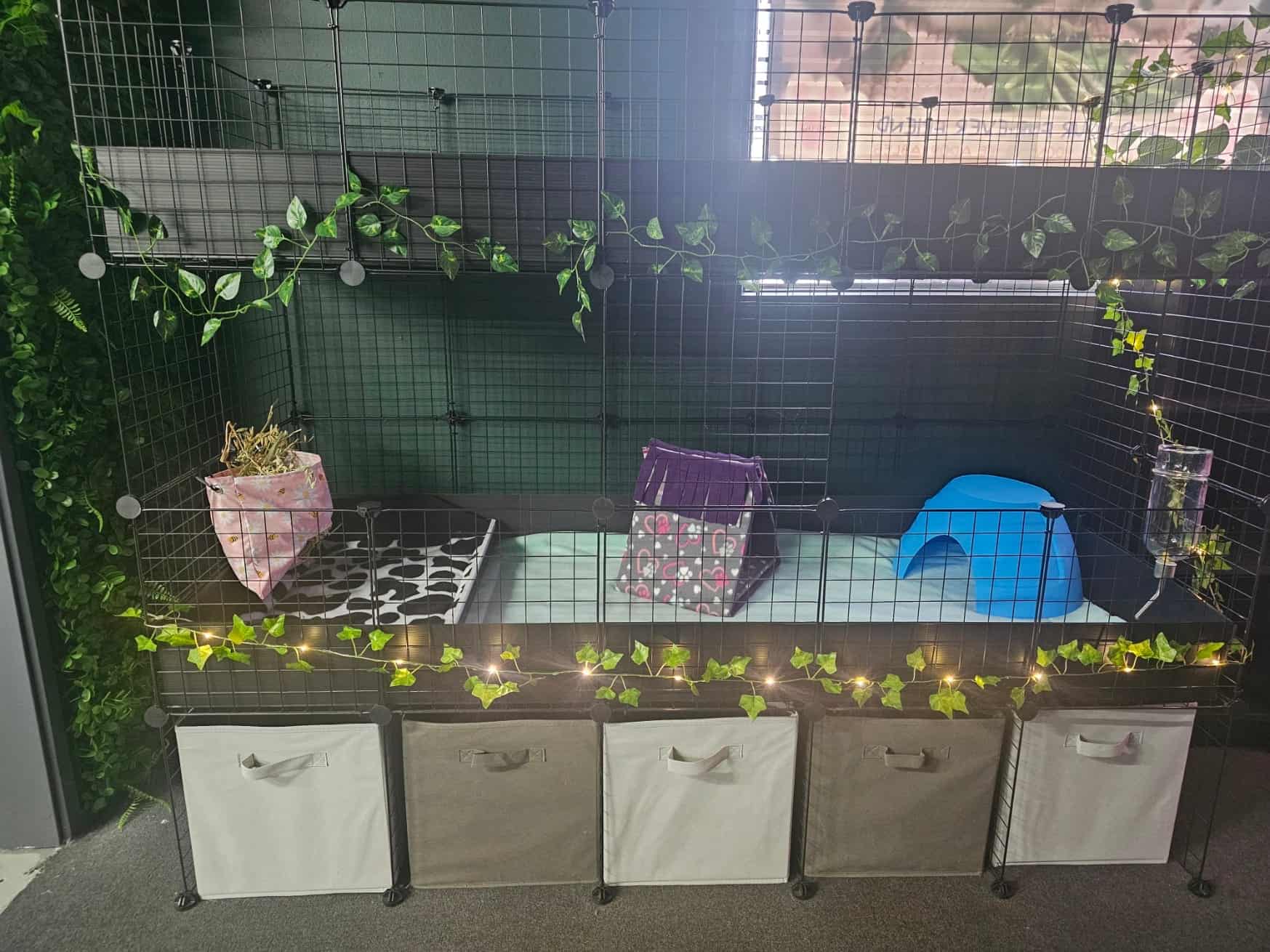 Spacious indoor rabbit and guinea pig enclosure with bedding, hideouts, and climbing accessories.