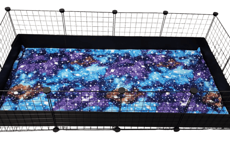 Guinea pig cages – Bree & Co | Rabbit & Guinea Pig Supplies, Bedding ...