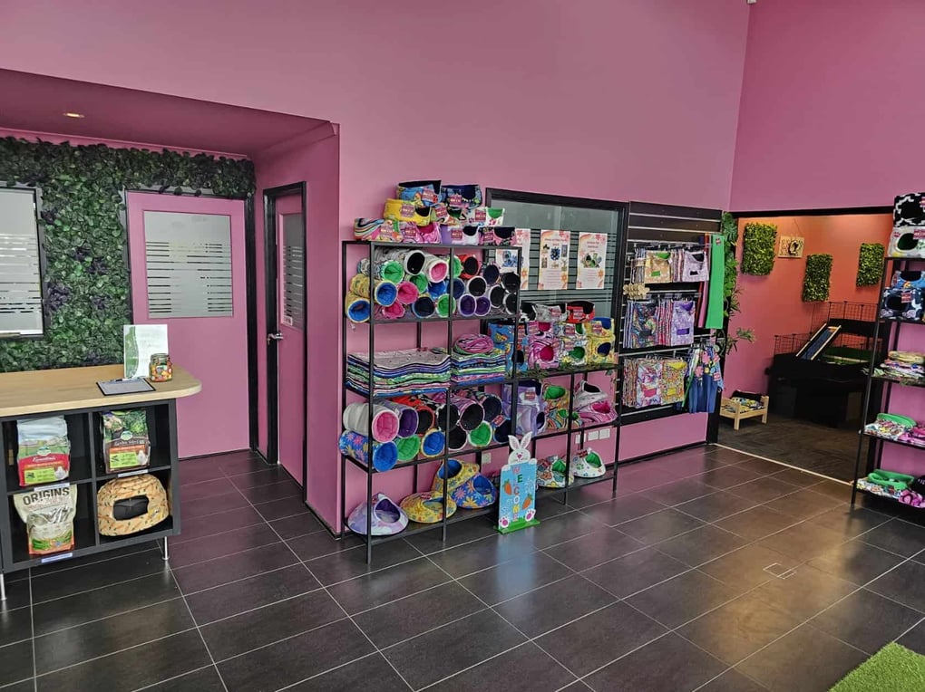 BREE & CO STORE GRAND OPENING – Bree & Co | Rabbit & Guinea Pig ...