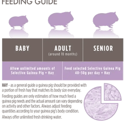 Science Selective Grain Free Guinea Pig Food 1.5kg – Premium Timothy ...