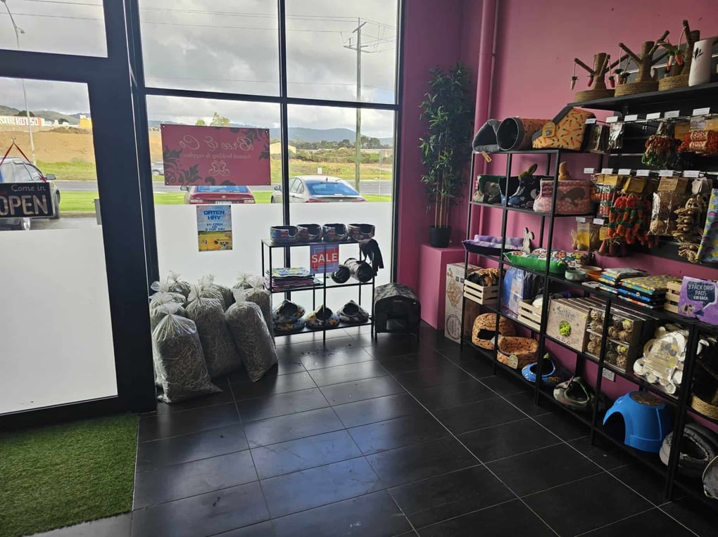 BREE & CO STORE GRAND OPENING – Bree & Co | Rabbit & Guinea Pig ...