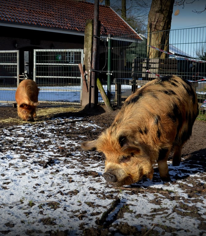 Joey Joosse en Jolanda Joosse