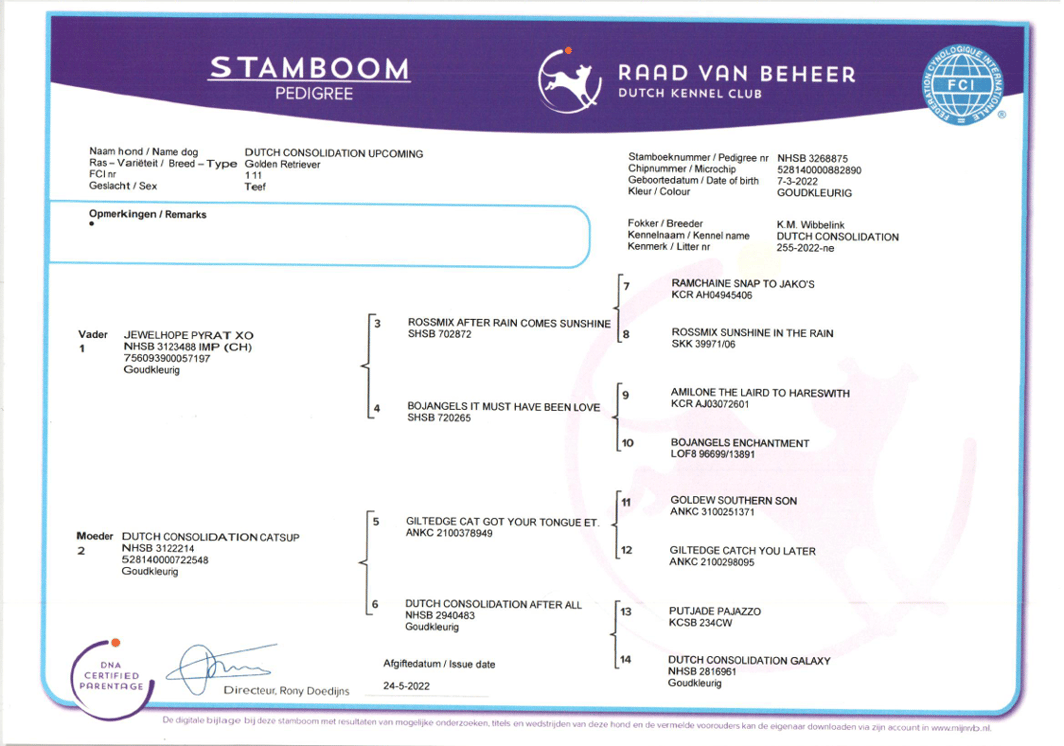 Laika stamboom