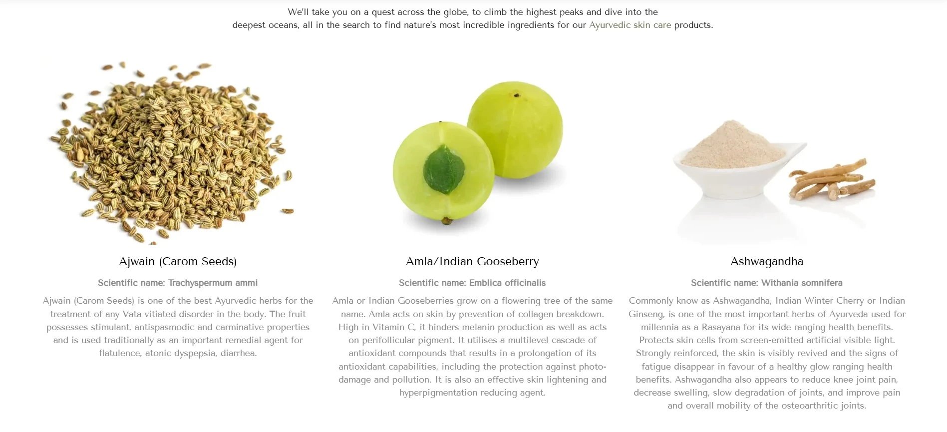 Ayurscience glossary screenshot image