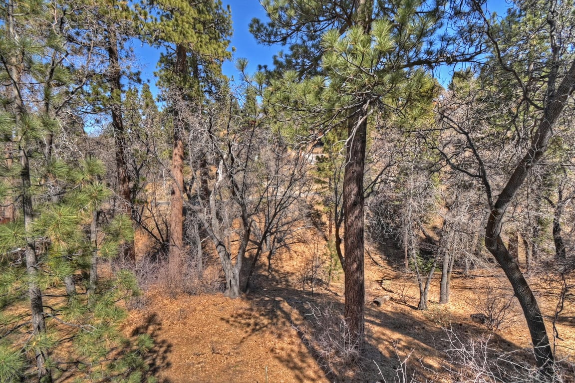 Cabin Image 16