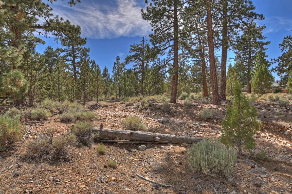 Cabin Image 45