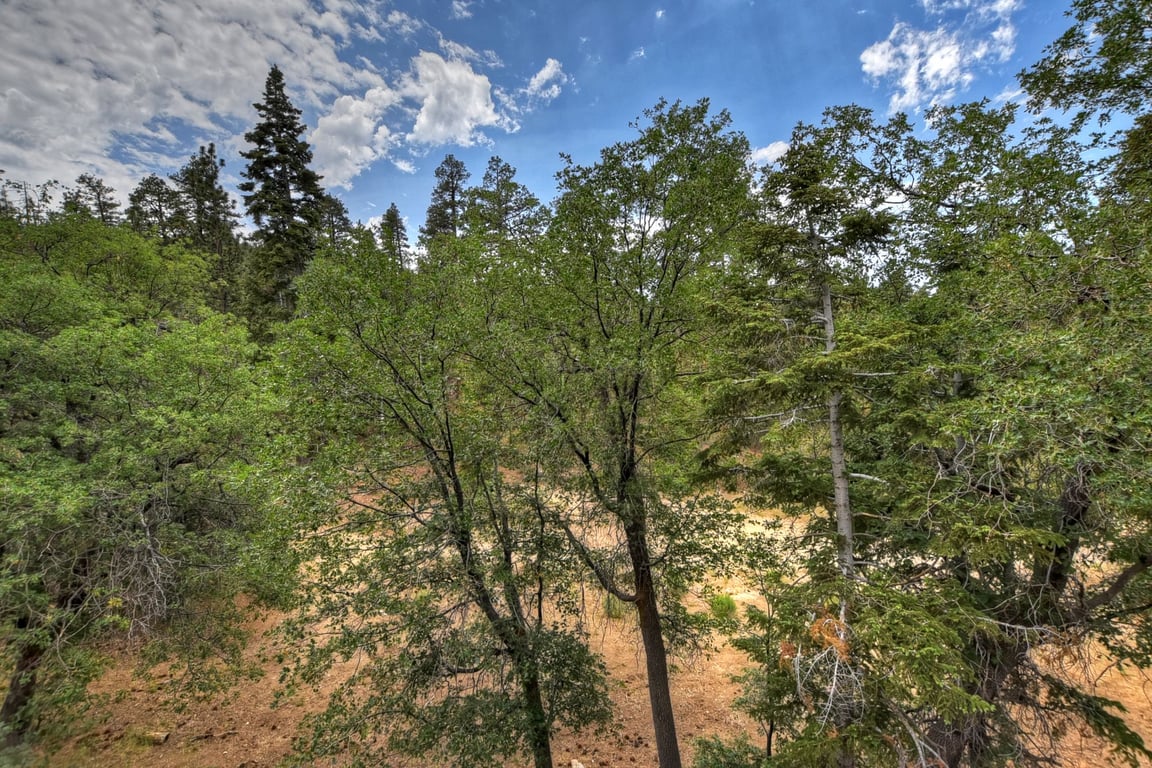 Cabin Image 9