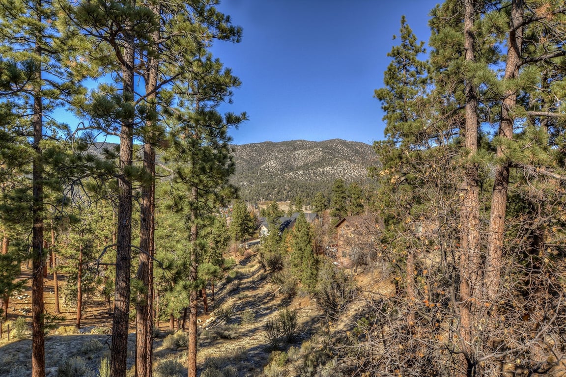 Cabin Image 13