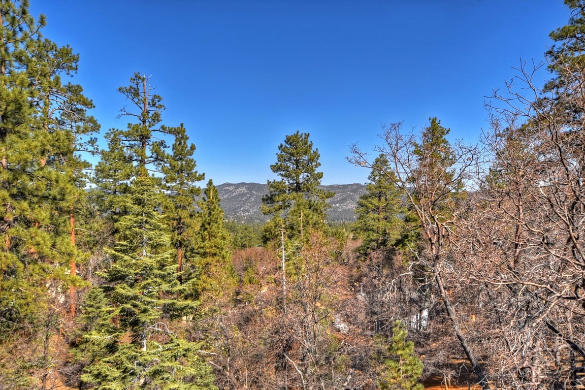 Cabin Image 35