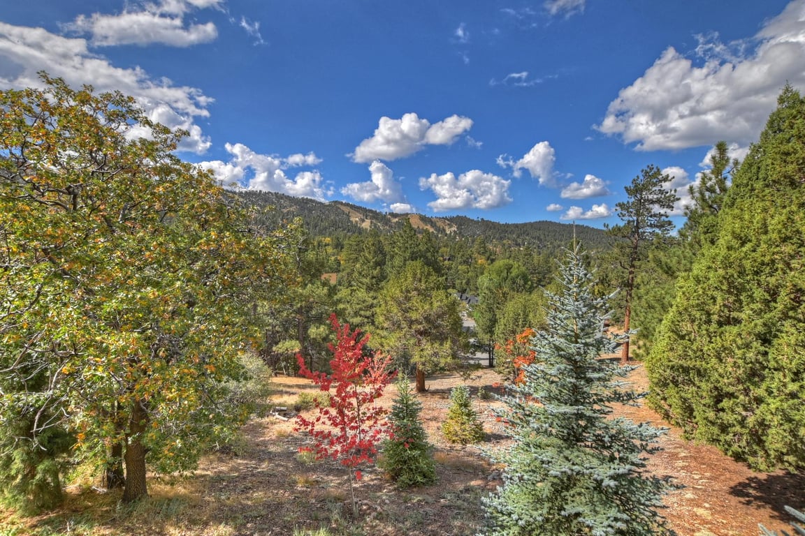Cabin Image 44