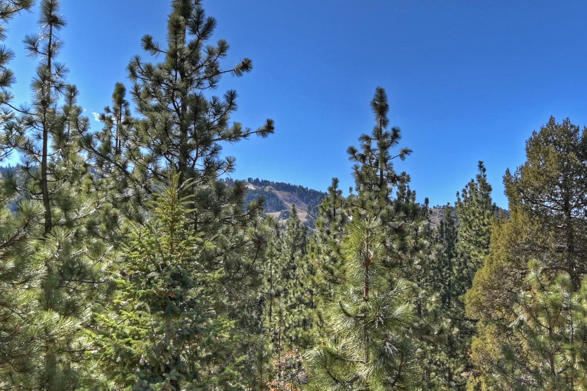 Cabin Image 26