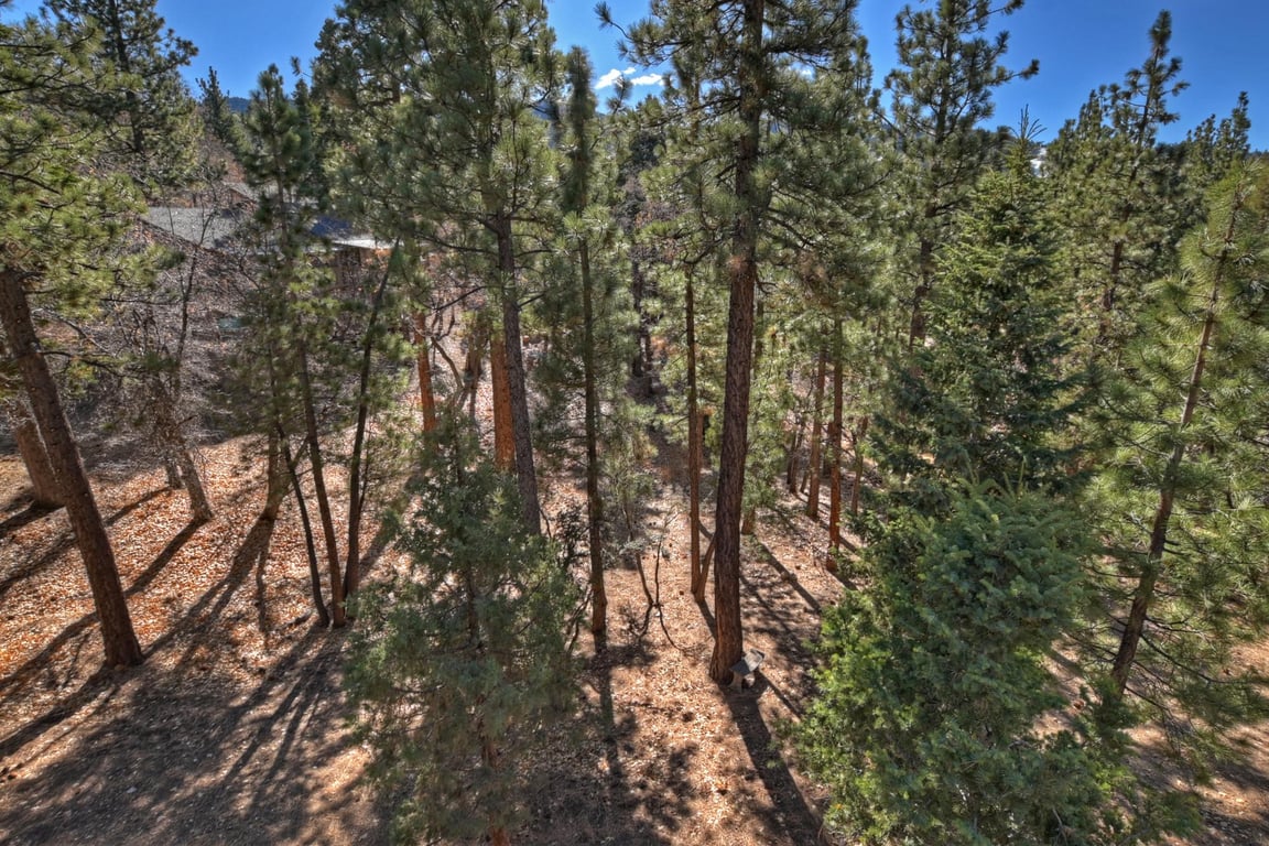Cabin Image 28