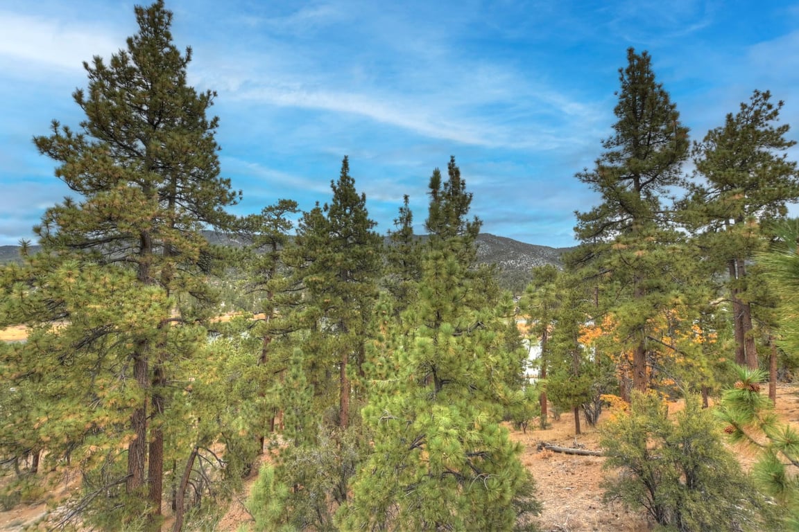 Cabin Image 12