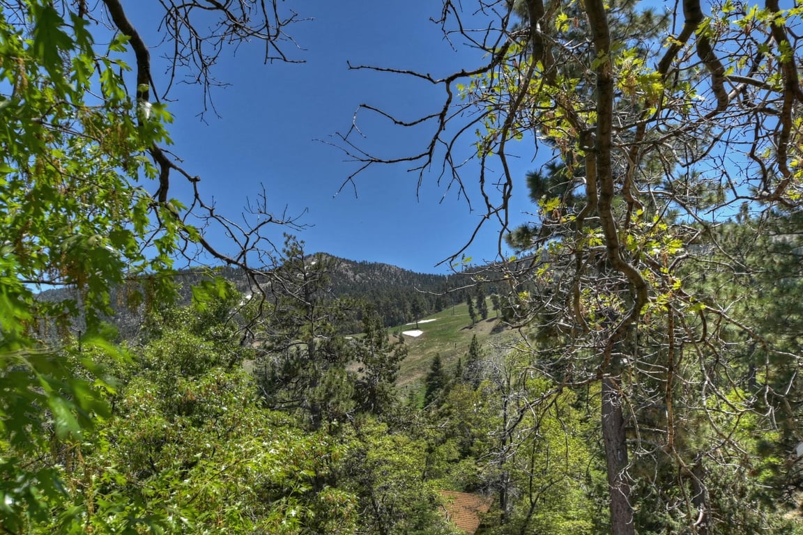 Cabin Image 35
