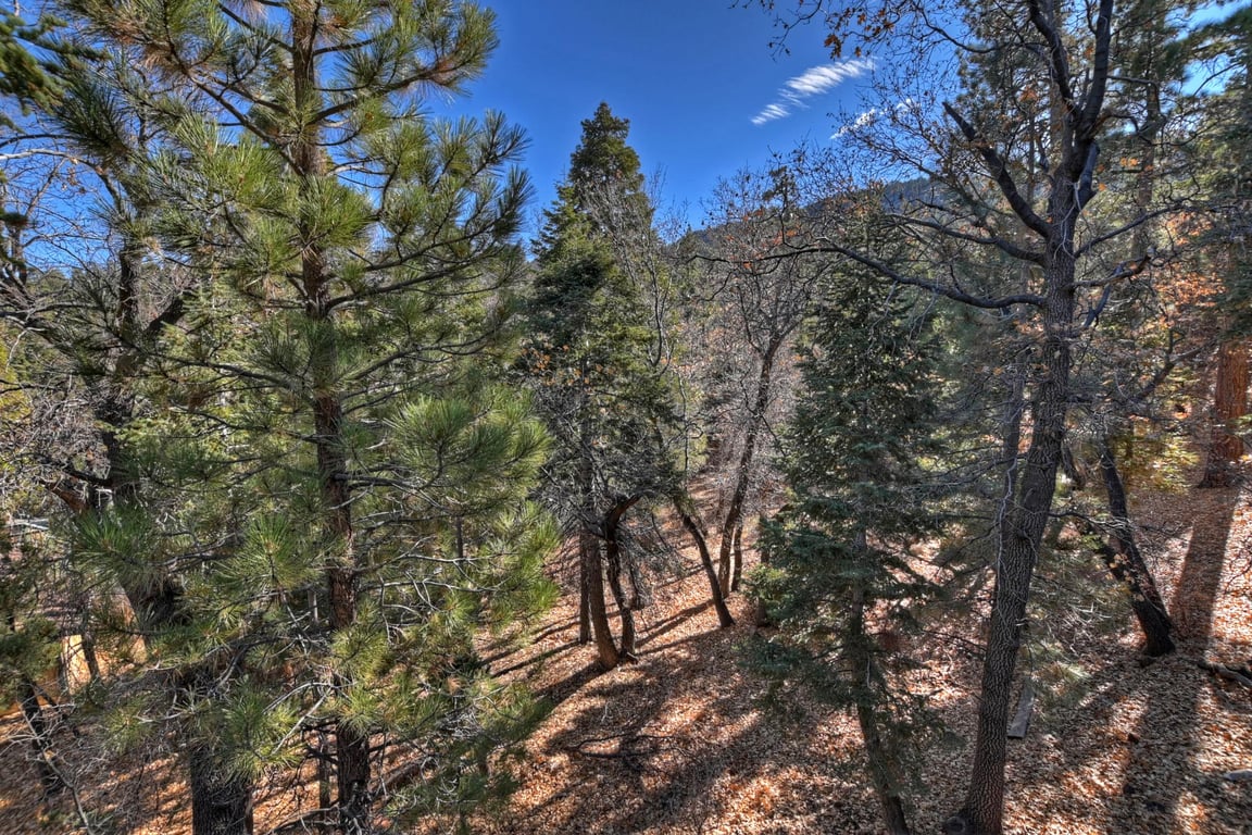 Cabin Image 36
