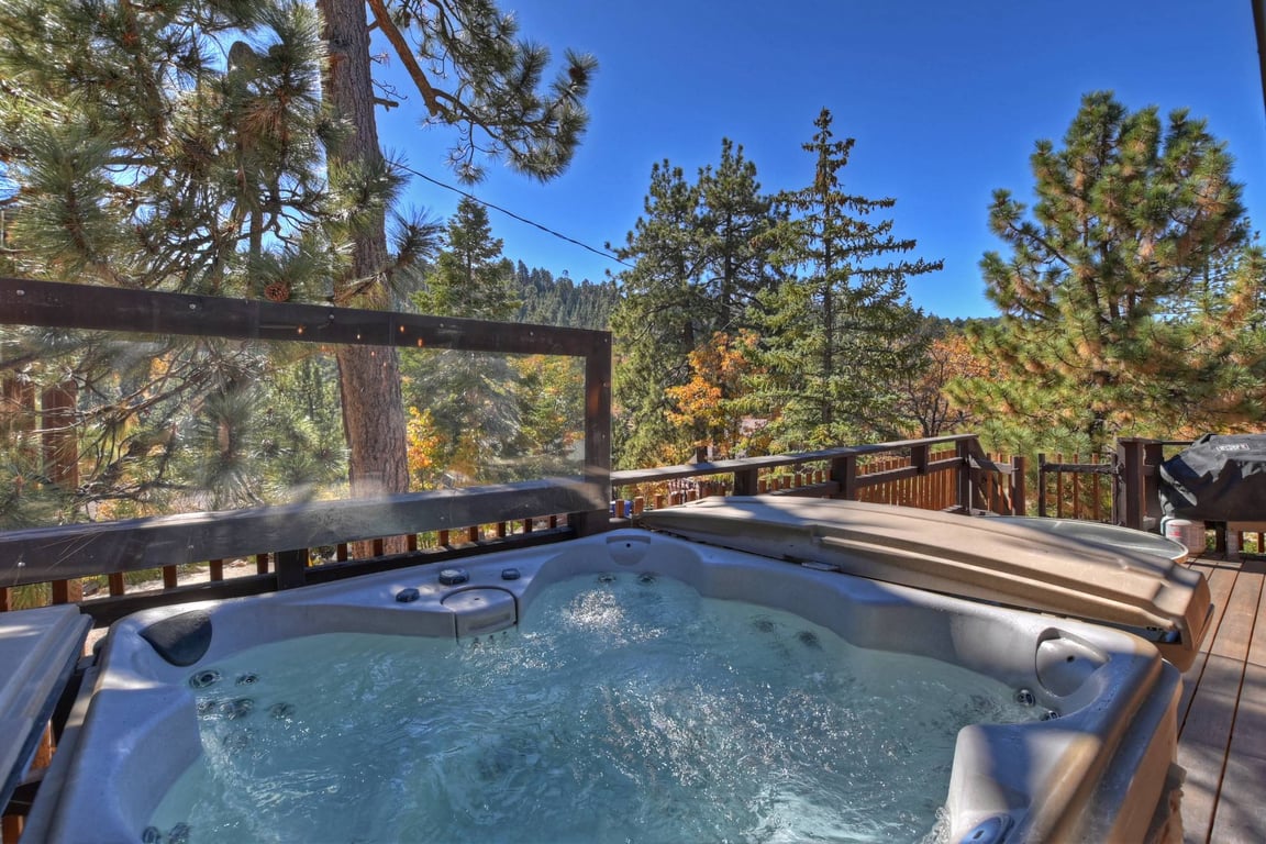 Big Bear Cabin - AspenPeak - 0004