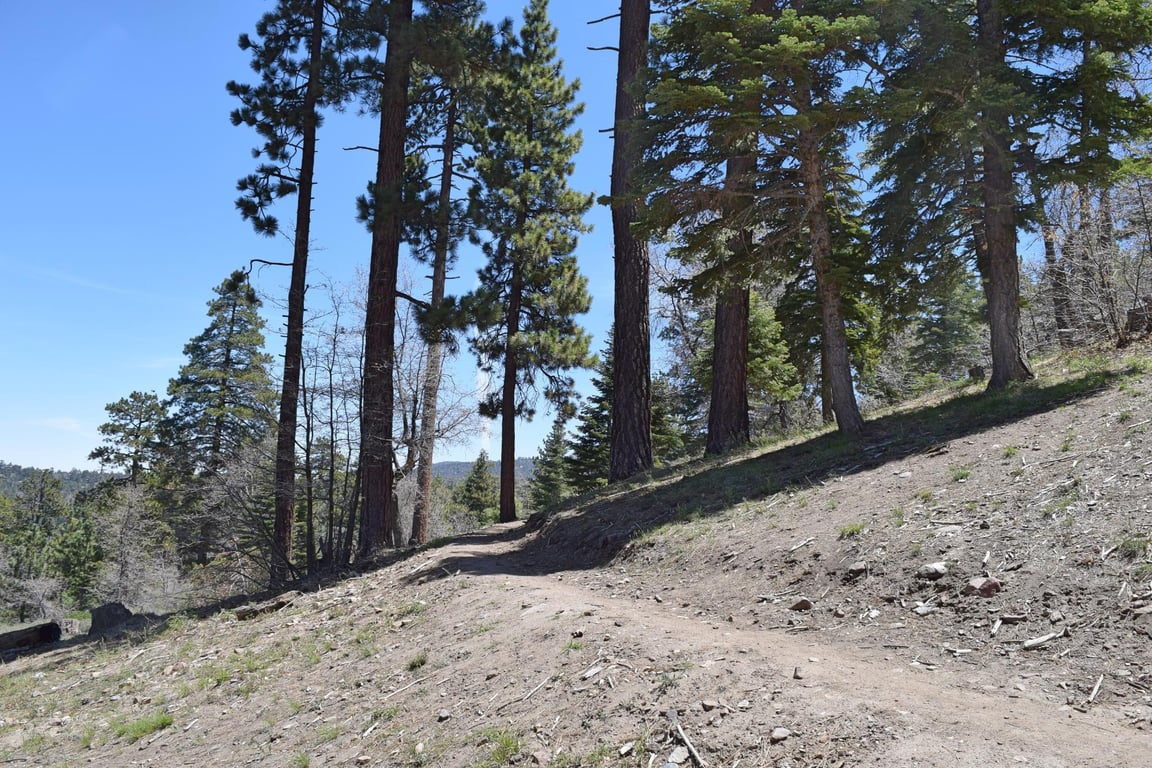 Cabin Image 58