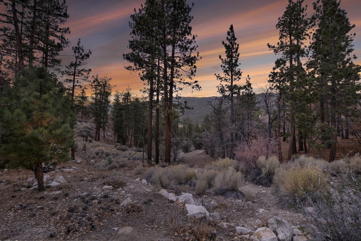 Cabin Image 39